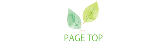 PAGE TOP